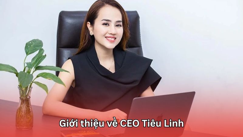 Giới thiệu tổng quan về nữ CEO tài ba trong ngành giải trí trực tuyến